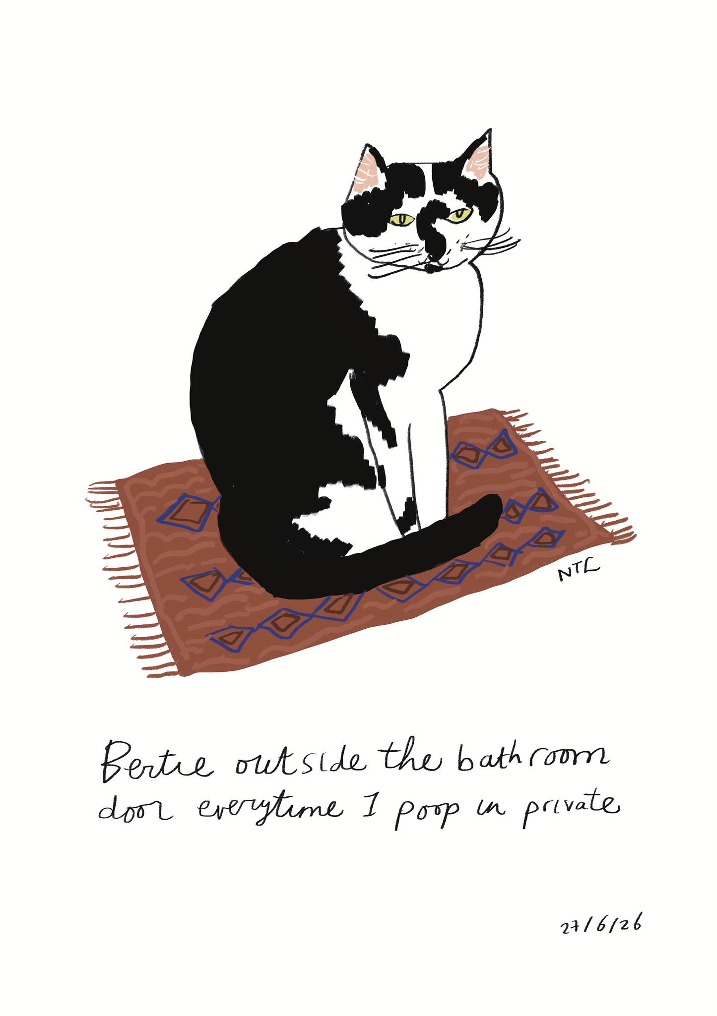 Custom Pet Portrait 'That Thing They Always Do'